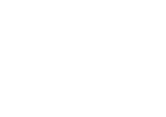 gkfonsterputs